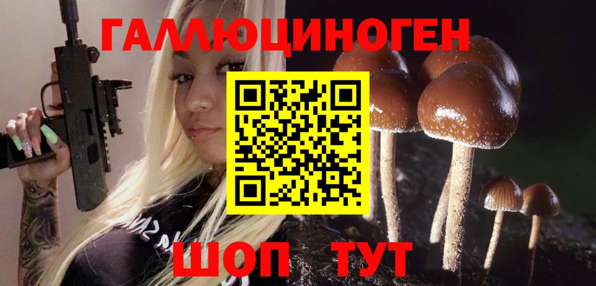 Псилоцибиновые грибы мицелий  Псилоцибиновые грибы Psilocybe  Вход с VPN  Псков 