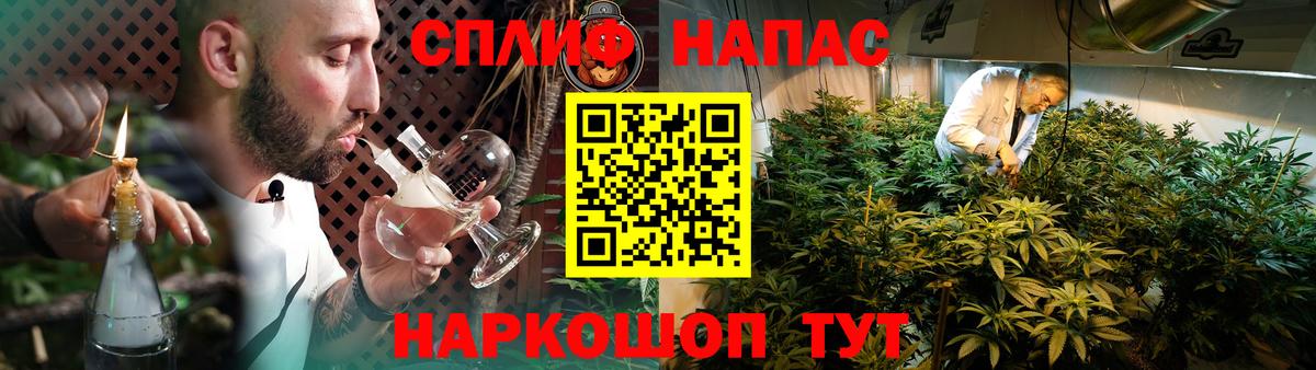 Бошки Шишки планчик Псков
